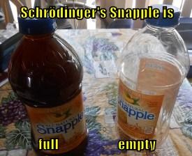 SchrodingerCaption